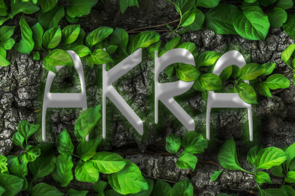 Akra: A Handwritten Font for Creative Web Design