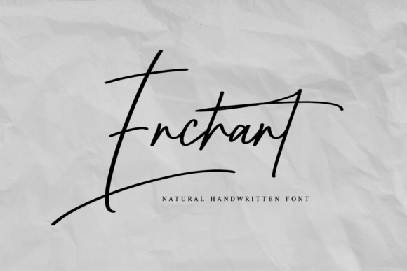 Enchant: A Graceful Script Font for Web Design