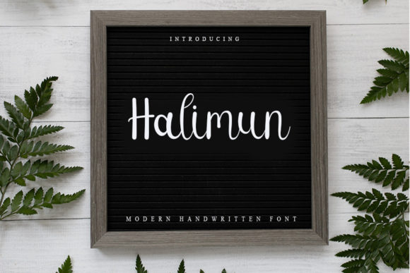 Handwritten Font for Editorial Design